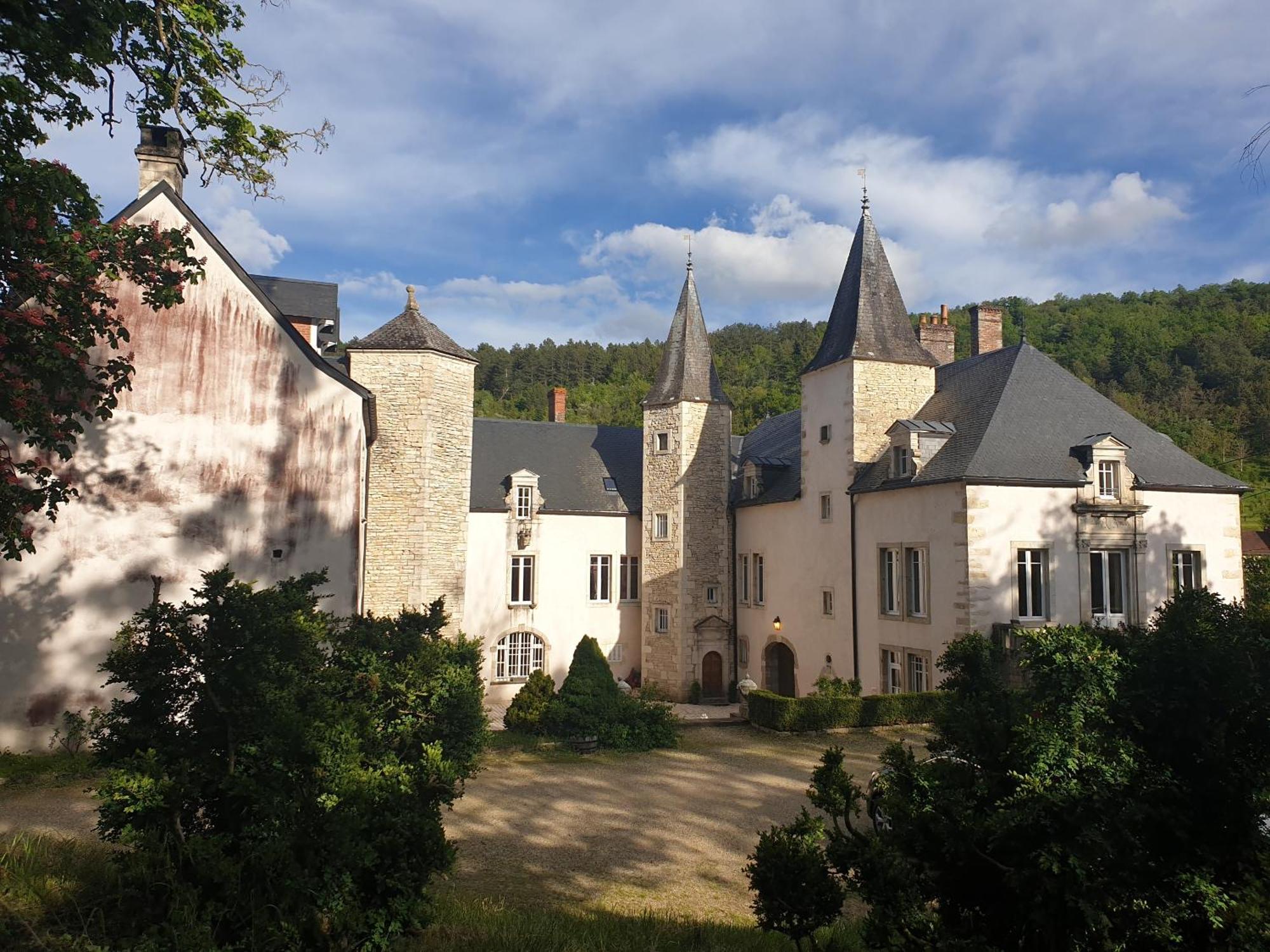 Chateau De Melin - B&B Auxey-Duresses Exterior foto