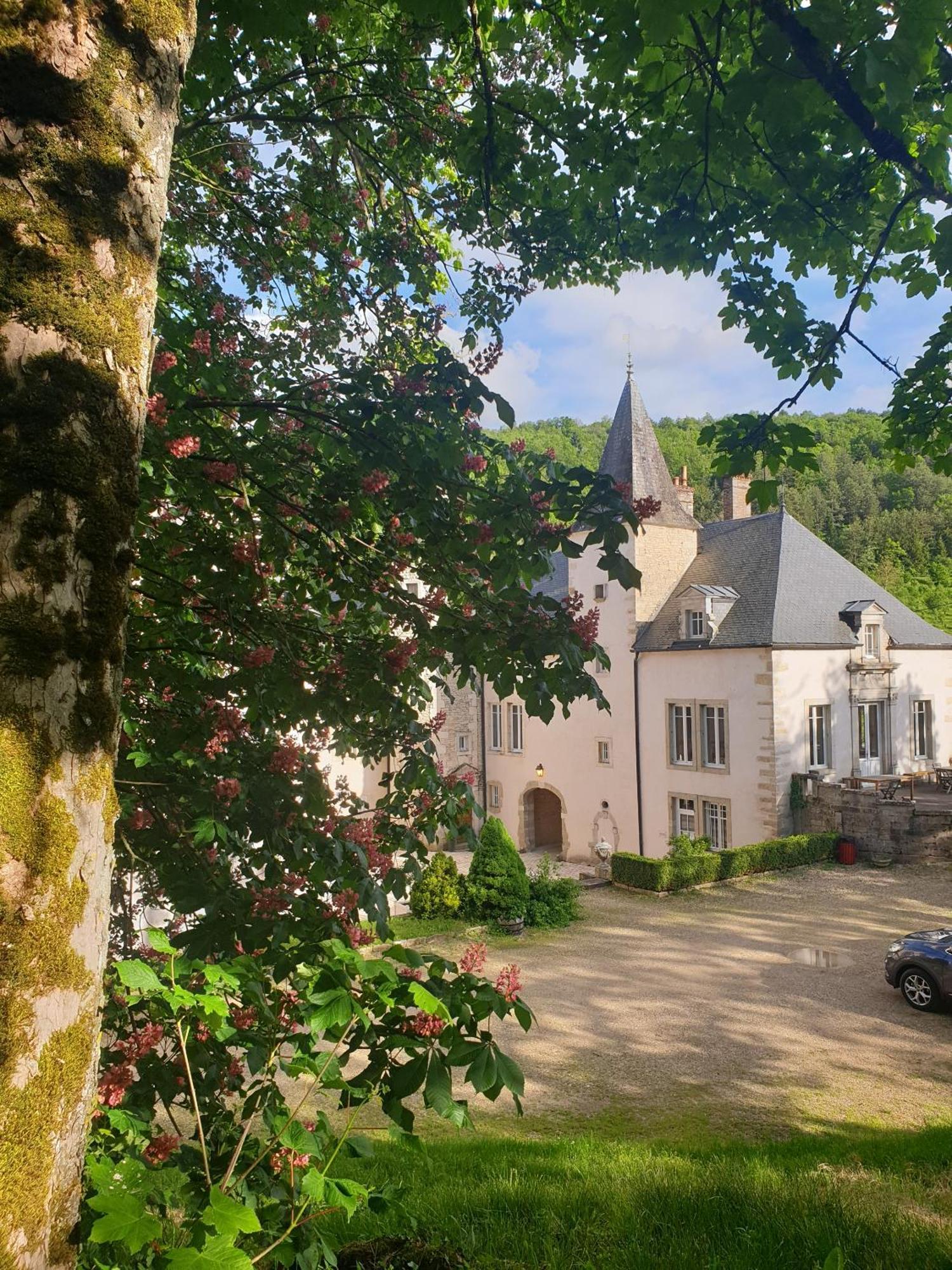 Chateau De Melin - B&B Auxey-Duresses Exterior foto